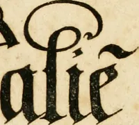 An illustration from Kunstrichtige Schreibart : allerhand Versalie[n] oder AnfangsBuchstabe[n] der teütschen, lateinischen und italianischen Schrifften aus unterschiedlichen Meistern der edlen Schreibkunst zusammen getragen (1655)