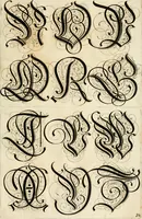 An illustration from Kunstrichtige Schreibart : allerhand Versalie[n] oder AnfangsBuchstabe[n] der teütschen, lateinischen und italianischen Schrifften aus unterschiedlichen Meistern der edlen Schreibkunst zusammen getragen (1655)