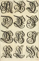 Picture 48 of 149 from Kunstrichtige Schreibart : allerhand Versalie[n] oder AnfangsBuchstabe[n] der teütschen, lateinischen und italianischen Schrifften aus unterschiedlichen Meistern der edlen Schreibkunst zusammen getragen (1655), leaf 44