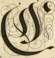 Picture 53 of 149 from Kunstrichtige Schreibart : allerhand Versalie[n] oder AnfangsBuchstabe[n] der teütschen, lateinischen und italianischen Schrifften aus unterschiedlichen Meistern der edlen Schreibkunst zusammen getragen (1655), leaf 48