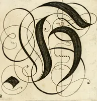 Picture 58 of 149 from Kunstrichtige Schreibart : allerhand Versalie[n] oder AnfangsBuchstabe[n] der teütschen, lateinischen und italianischen Schrifften aus unterschiedlichen Meistern der edlen Schreibkunst zusammen getragen (1655), leaf 50