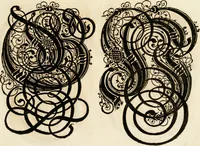Picture 78 of 149 from Kunstrichtige Schreibart : allerhand Versalie[n] oder AnfangsBuchstabe[n] der teütschen, lateinischen und italianischen Schrifften aus unterschiedlichen Meistern der edlen Schreibkunst zusammen getragen (1655), leaf 58