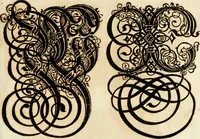 Picture 85 of 149 from Kunstrichtige Schreibart : allerhand Versalie[n] oder AnfangsBuchstabe[n] der teütschen, lateinischen und italianischen Schrifften aus unterschiedlichen Meistern der edlen Schreibkunst zusammen getragen (1655), leaf 66