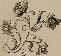 An illustration from Kunst-und Fleiss-übende Nadel-Ergötzungen; oder, neu erfundenes Neh-und Stick-Buch. Worin dem, solche schöne wissenschafftliebendem Frauenzimmer, allerhand, zu vielen Sachen anständige, Muster und Risse, nach der neuesten Façon, zu deren nützlichen Bedienung (1730)