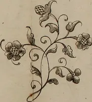 An illustration from Kunst-und Fleiss-übende Nadel-Ergötzungen; oder, neu erfundenes Neh-und Stick-Buch. Worin dem, solche schöne wissenschafftliebendem Frauenzimmer, allerhand, zu vielen Sachen anständige, Muster und Risse, nach der neuesten Façon, zu deren nützlichen Bedienung (1730)