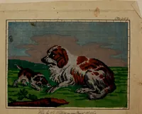 Picture 2 of 50 from Kunst-und Fleiss-übende Nadel-Ergötzungen; oder, neu erfundenes Neh-und Stick-Buch. Worin dem, solche schöne wissenschafftliebendem Frauenzimmer, allerhand, zu vielen Sachen anständige, Muster und Risse, nach der neuesten Façon, zu deren nützlichen Bedienung (1730), leaf 6