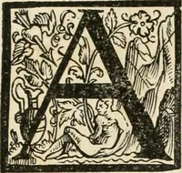 An illustration from Kurtze doch gegründte Beschreibung des durchleuchtigen hochgebornnen Fürsten vnnd Herzen, Herzen Wilhalmen,: Pfaltzgrauen bey Rhein, Hertzogen inn Obern vnd Nidern Baiern, &c. vnd derselbe, geliebsten Gemahel, der deuchtleuchtigist hochgebornnen Fürstin, Frewlein Renata gebornne Hertzogin zu Lottringen vnd Parr, &c. gehalten Hochzeitlichen Ehren Fests. Auch welcher gestalt die...Potentaten...enschinen. Vnd dann was für herrliche Ritterspil...Neben andern...kurtzweilen...in der Fürstlichen Haubstat München gehalten worden sein, den zwenvndzwaintzigisten vnd nachuolgende tag Februarij, Jm 1568. Jar (1568)