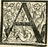 An illustration from Kurtze doch gegründte Beschreibung des durchleuchtigen hochgebornnen Fürsten vnnd Herzen, Herzen Wilhalmen,: Pfaltzgrauen bey Rhein, Hertzogen inn Obern vnd Nidern Baiern, &c. vnd derselbe, geliebsten Gemahel, der deuchtleuchtigist hochgebornnen Fürstin, Frewlein Renata gebornne Hertzogin zu Lottringen vnd Parr, &c. gehalten Hochzeitlichen Ehren Fests. Auch welcher gestalt die...Potentaten...enschinen. Vnd dann was für herrliche Ritterspil...Neben andern...kurtzweilen...in der Fürstlichen Haubstat München gehalten worden sein, den zwenvndzwaintzigisten vnd nachuolgende tag Februarij, Jm 1568. Jar (1568)