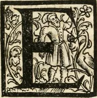 An illustration from Kurtze doch gegründte Beschreibung des durchleuchtigen hochgebornnen Fürsten vnnd Herzen, Herzen Wilhalmen,: Pfaltzgrauen bey Rhein, Hertzogen inn Obern vnd Nidern Baiern, &c. vnd derselbe, geliebsten Gemahel, der deuchtleuchtigist hochgebornnen Fürstin, Frewlein Renata gebornne Hertzogin zu Lottringen vnd Parr, &c. gehalten Hochzeitlichen Ehren Fests. Auch welcher gestalt die...Potentaten...enschinen. Vnd dann was für herrliche Ritterspil...Neben andern...kurtzweilen...in der Fürstlichen Haubstat München gehalten worden sein, den zwenvndzwaintzigisten vnd nachuolgende tag Februarij, Jm 1568. Jar (1568)