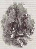 Picture 6 of 11 from La Aurora Madrid 1 1 1851 LA AURORA PERIODICO DELO OS NIÑOS (1851), leaf 18