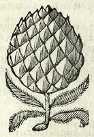 An illustration from La bizaria di Pantalone : comedia capriciosa, e facetta (1671)