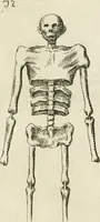 An illustration from La bolla d'oro de' fanciulli nobili romani e quella de' libertini : ed altre singolarità spettanti a' mausolei nuovamente scopertisi : brevemente spiegate, e divise in II. parti (1732)