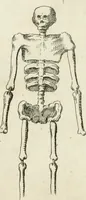 An illustration from La bolla d'oro de' fanciulli nobili romani e quella de' libertini : ed altre singolarità spettanti a' mausolei nuovamente scopertisi : brevemente spiegate, e divise in II. parti (1732)