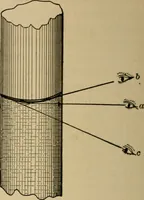 An illustration from Laboratory exercises in elementary physics (1892)