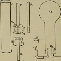 An illustration from Laboratory exercises in physics for secondary schools (1906)