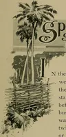 An illustration from Labor-saving looms (1907)