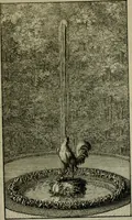 An illustration from Labyrinte de Versailles (1677)