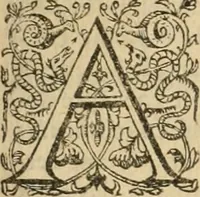 Picture 11 of 35 from Labyrinthe royal de l'Hercule gaulois triomphant : sur le suject des fortunes, batailles, victoires, trophées, triomphes, mariage & autres faicts heroiques & memorables de tres-auguste & tres-chrestien prince Henry IIII roy de France & de Navarre : representé à l'entrée trimphante de la royne en la cité d'Avignon, le 19 nouembre l'an MDC, ou sont contenues les magnificences et triomphes dressez à cet effect par ladicte ville (1601), leaf 56