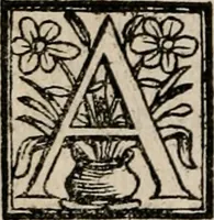 An illustration from Labyrinthus medicorum errantium ... : Cum adjunctis (1553)