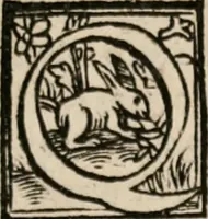 An illustration from Labyrinthus medicorum errantium ... : Cum adjunctis (1553)