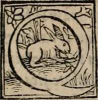 An illustration from Labyrinthus medicorum errantium ... : Cum adjunctis (1553)