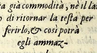 An illustration from La caccia di Giacomo di Foglioso, scudiero e signore di esso luogo, paese di Gastina in Poitù : con molte ricette & rimedij per risanare i cani da diuerse malattie (1615)