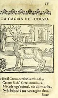 An illustration from La caccia di Giacomo di Foglioso, scudiero e signore di esso luogo, paese di Gastina in Poitù : con molte ricette & rimedij per risanare i cani da diuerse malattie (1615)
