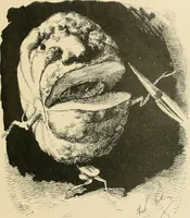 Picture 97 of 178 from La caricature et les caricaturistes ; (1900), leaf 194