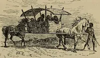 An illustration from La carrozza nella storia della locomozione (1901)
