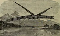 Picture 233 of 306 from La carrozza nella storia della locomozione (1901), leaf 241