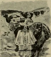 Picture 253 of 306 from La carrozza nella storia della locomozione (1901), leaf 257