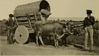 An illustration from La carrozza nella storia della locomozione (1901)