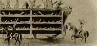 Picture 268 of 306 from La carrozza nella storia della locomozione (1901), leaf 268
