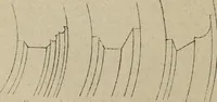 An illustration from La Cattedrale aretina e suoi monumenti (1880)