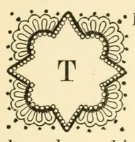 Picture 1 of 16 from The lace book (1904), leaf 21