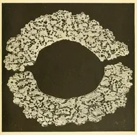An illustration from The lace book (1904)