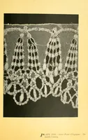 Picture 5 of 16 from The lace book (1904), leaf 91