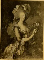 Picture 67 of 86 from The lace book (1904), leaf 252