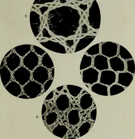 An illustration from The lace & embroidery collector; a guide to collectors of old lace and embroidery (1922)