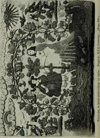 An illustration from The lace & embroidery collector; a guide to collectors of old lace and embroidery (1922)