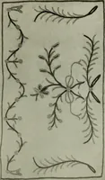 An illustration from The lace & embroidery collector; a guide to collectors of old lace and embroidery (1922)