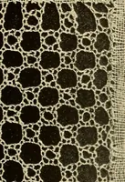 Picture 42 of 197 from A lace guide for makers and collectors; with bibliography and five-language nomenculture, profusely illus. with halftone plates and key designs (1920), leaf 102