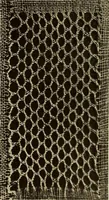 An illustration from A lace guide for makers and collectors; with bibliography and five-language nomenculture, profusely illus. with halftone plates and key designs (1920)