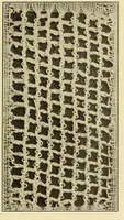 Picture 47 of 197 from A lace guide for makers and collectors; with bibliography and five-language nomenculture, profusely illus. with halftone plates and key designs (1920), leaf 106