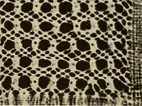Picture 55 of 197 from A lace guide for makers and collectors; with bibliography and five-language nomenculture, profusely illus. with halftone plates and key designs (1920), leaf 113
