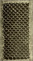 Picture 69 of 197 from A lace guide for makers and collectors; with bibliography and five-language nomenculture, profusely illus. with halftone plates and key designs (1920), leaf 128
