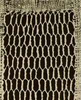 Picture 82 of 197 from A lace guide for makers and collectors; with bibliography and five-language nomenculture, profusely illus. with halftone plates and key designs (1920), leaf 139