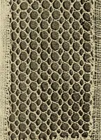 Picture 93 of 197 from A lace guide for makers and collectors; with bibliography and five-language nomenculture, profusely illus. with halftone plates and key designs (1920), leaf 145