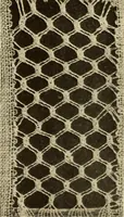 Picture 129 of 197 from A lace guide for makers and collectors; with bibliography and five-language nomenculture, profusely illus. with halftone plates and key designs (1920), leaf 181