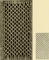Picture 133 of 197 from A lace guide for makers and collectors; with bibliography and five-language nomenculture, profusely illus. with halftone plates and key designs (1920), leaf 186